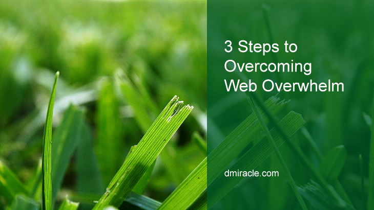 3-Steps-to-Overcoming-Web-Overwhelm